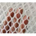 High Quality Top Sale Diamond Plastic Mesh for Agriculture Protection